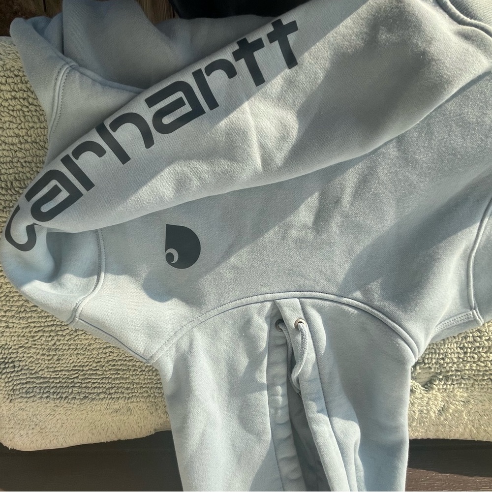 Carhartt Relaxed Fit Hoodie in Soft Blue
